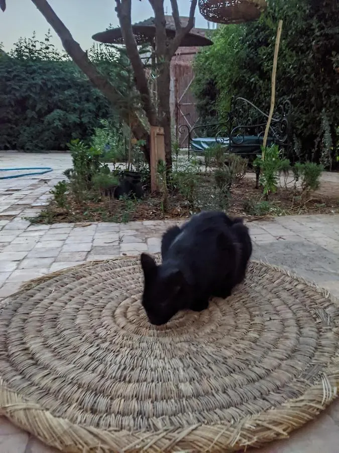 Dar Saafia Vila Marraquexe Marrocos