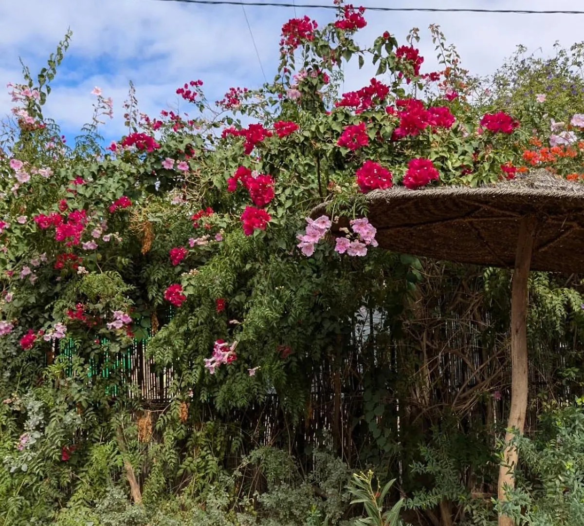 Casa de Férias Dar Saafia Vila Marraquexe